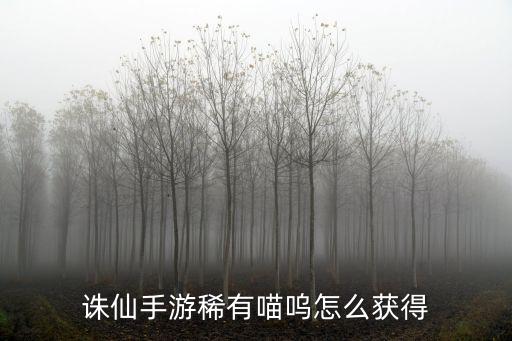 诛仙手游怎么获得稀有猫，诛仙手游稀有宠物大全 稀有宠物怎么获得