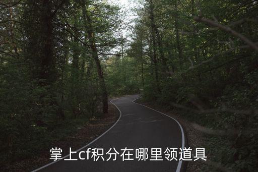 掌上cf积分在哪里领道具