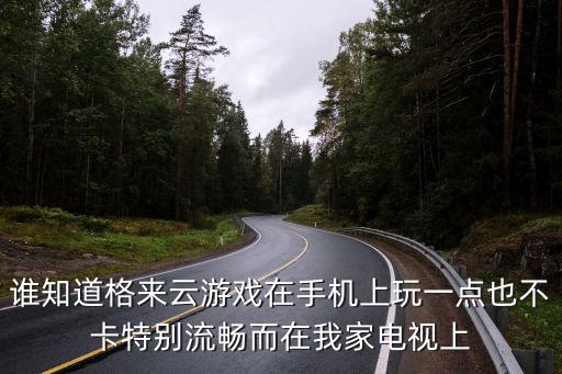 谁知道格来云游戏在手机上玩一点也不卡特别流畅而在我家电视上