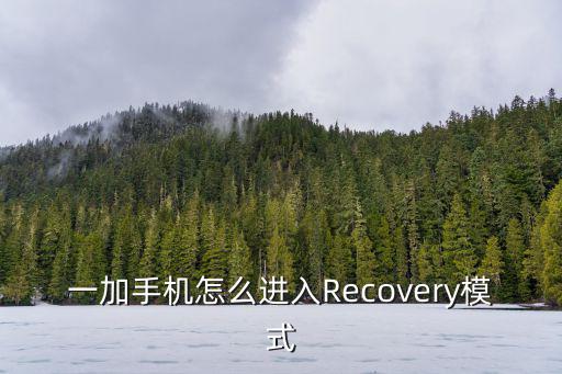 一加手机怎么进入Recovery模式