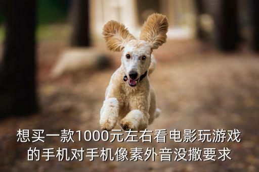 想买一款1000元左右看电影玩游戏的手机对手机像素外音没撒要求