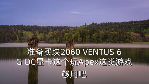 准备买块2060 VENTUS 6G OC显卡这个玩Apex这类游戏够用吧