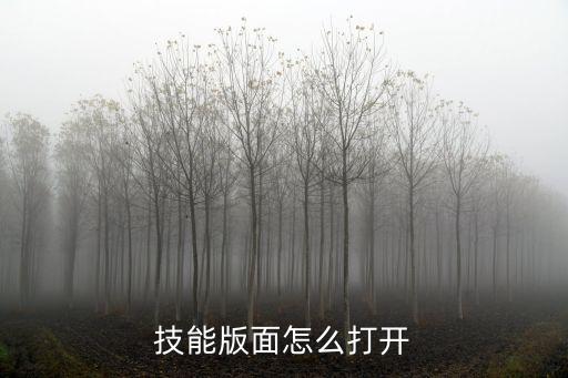 技能版面怎么打开