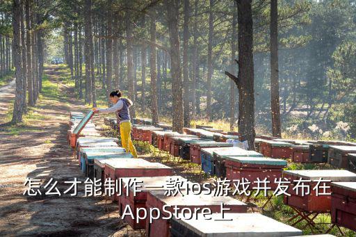 怎么才能制作一款ios游戏并发布在AppStore上