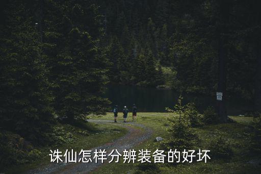 诛仙怎样分辨装备的好坏