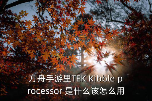 方舟手游里TEK Kibble processor 是什么该怎么用