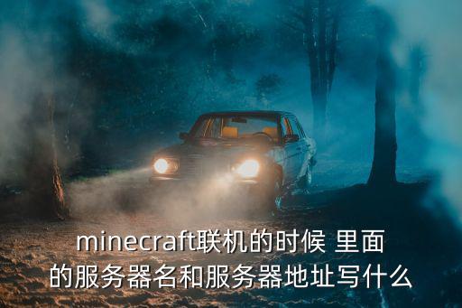 minecraft联机的时候 里面的服务器名和服务器地址写什么