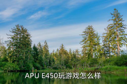 APU E450玩游戏怎么样