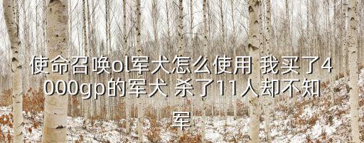 使命召唤ol军犬怎么使用 我买了4000gp的军犬 杀了11人却不知军