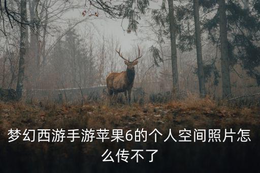 梦幻西游手游苹果6的个人空间照片怎么传不了