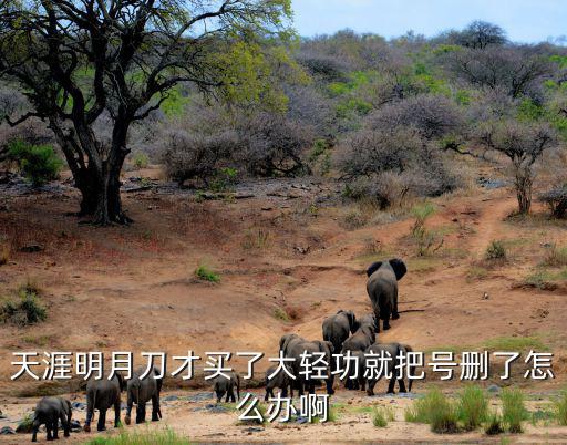 天涯明月刀才买了大轻功就把号删了怎么办啊