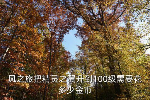 风之旅把精灵之翼升到100级需要花多少金币