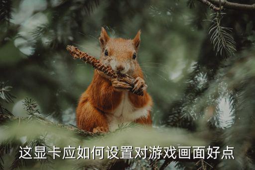 这显卡应如何设置对游戏画面好点