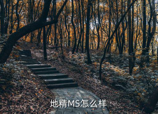 地精MS怎么样