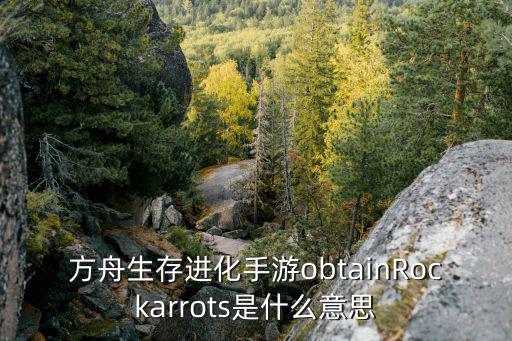 方舟生存进化手游obtainRockarrots是什么意思