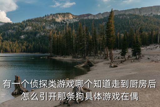 有一个侦探类游戏哪个知道走到厨房后怎么引开那条狗具体游戏在偶