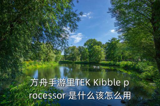 方舟手游里TEK Kibble processor 是什么该怎么用