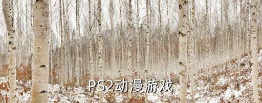 PS2动漫游戏