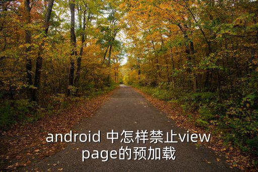 android 中怎样禁止viewpage的预加载