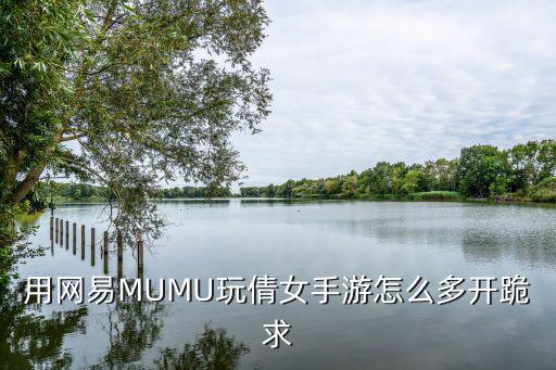 用网易MUMU玩倩女手游怎么多开跪求