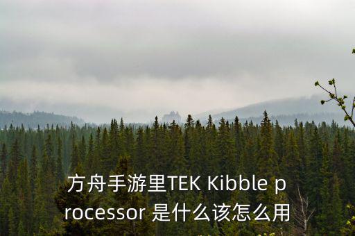 方舟手游里TEK Kibble processor 是什么该怎么用