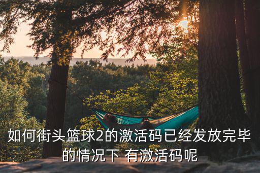 如何街头篮球2的激活码已经发放完毕的情况下 有激活码呢