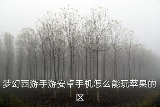 梦幻西游手游安卓手机怎么能玩苹果的区