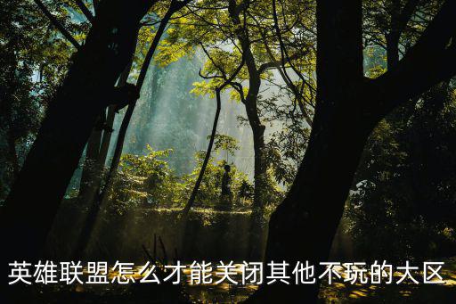 英雄联盟怎么才能关闭其他不玩的大区