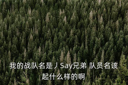 我的战队名是丿Say兄弟 队员名该起什么样的啊