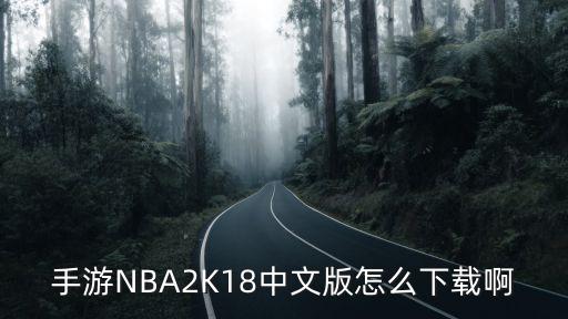 手游NBA2K18中文版怎么下载啊