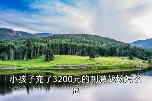 小孩子充了3200元的刺激战场怎么退