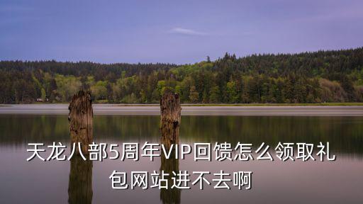 天龙八部5周年VIP回馈怎么领取礼包网站进不去啊