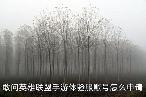 敢问英雄联盟手游体验服账号怎么申请