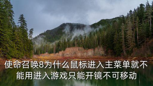 使命召唤8为什么鼠标进入主菜单就不能用进入游戏只能开镜不可移动