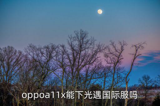 oppoa11x能下光遇国际服吗