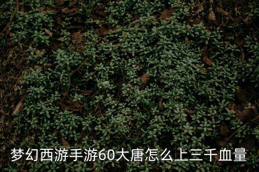 梦幻西游手游60大唐怎么上三千血量