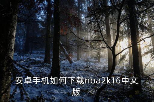 安卓手机如何下载nba2k16中文版