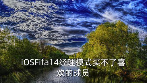 iOSFifa14经理模式买不了喜欢的球员