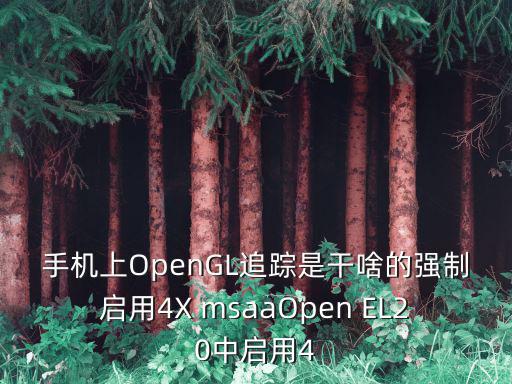 手机上OpenGL追踪是干啥的强制启用4X msaaOpen EL20中启用4