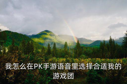 我怎么在PK手游语音里选择合适我的游戏团