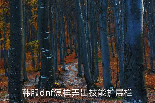 韩服dnf怎样弄出技能扩展栏