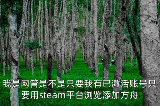 我是网管是不是只要我有已激活账号只要用steam平台浏览添加方舟