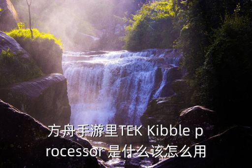 方舟手游里TEK Kibble processor 是什么该怎么用