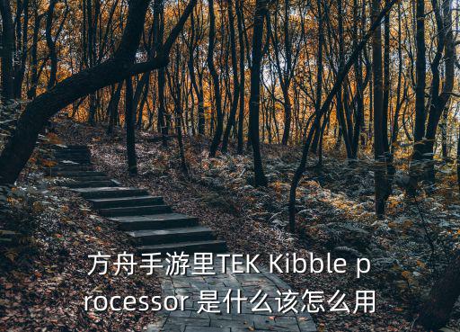 方舟手游精英龙怎么选种族，方舟手游里TEK Kibble processor 是什么该怎么用