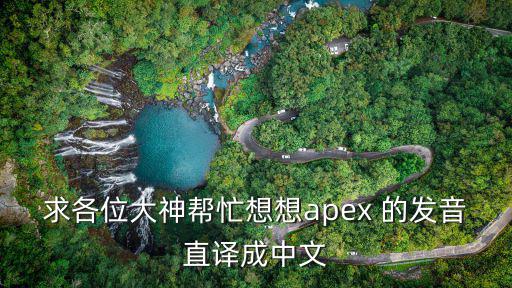 求各位大神帮忙想想apex 的发音直译成中文