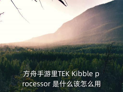 方舟手游里TEK Kibble processor 是什么该怎么用