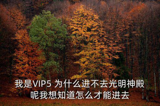 我是VIP5 为什么进不去光明神殿呢我想知道怎么才能进去