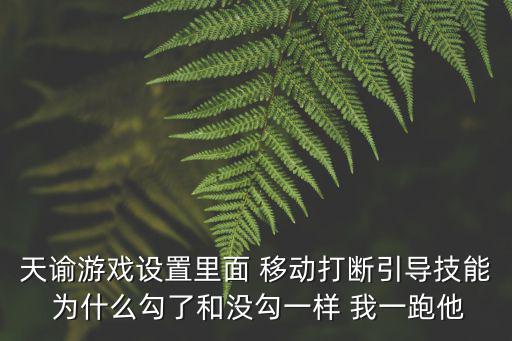 天谕游戏设置里面 移动打断引导技能 为什么勾了和没勾一样 我一跑他