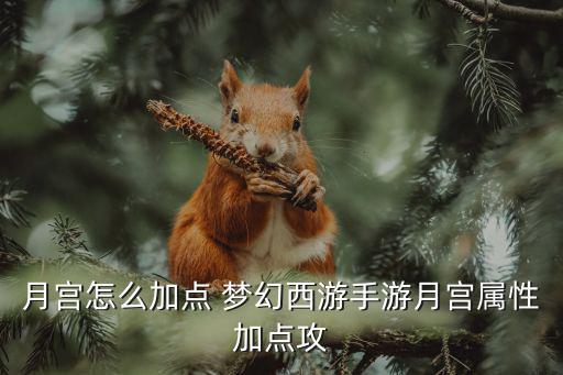 月宫怎么加点 梦幻西游手游月宫属性加点攻