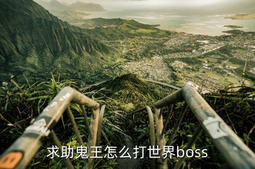 求助鬼王怎么打世界boss